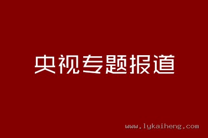 央视专题报道